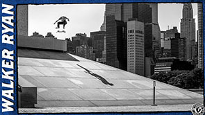 Thunder Trucks : Walker Ryan