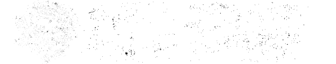 Thunder Trucks The Leader In Control